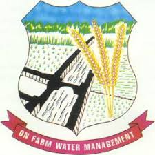 Punjab Orders FIRs Against Renting Property To Afghans & Other